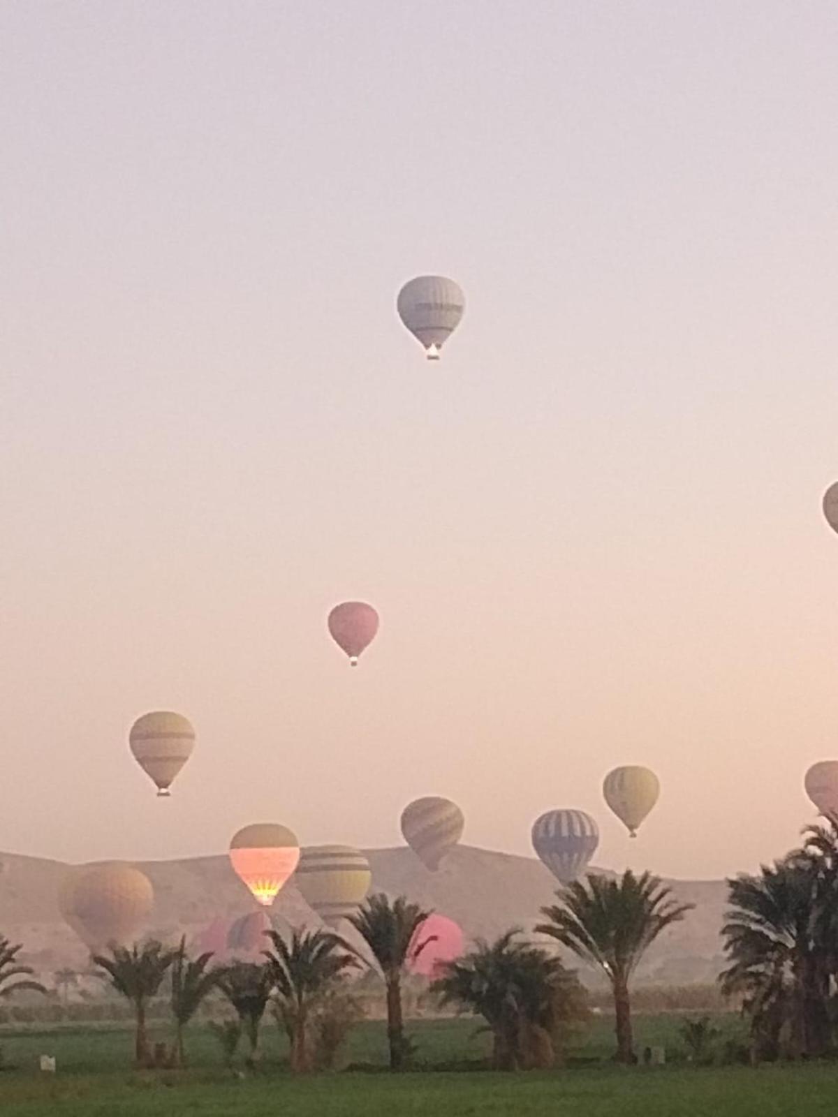 Egypt Amon Hotel Luxor Kültér fotó